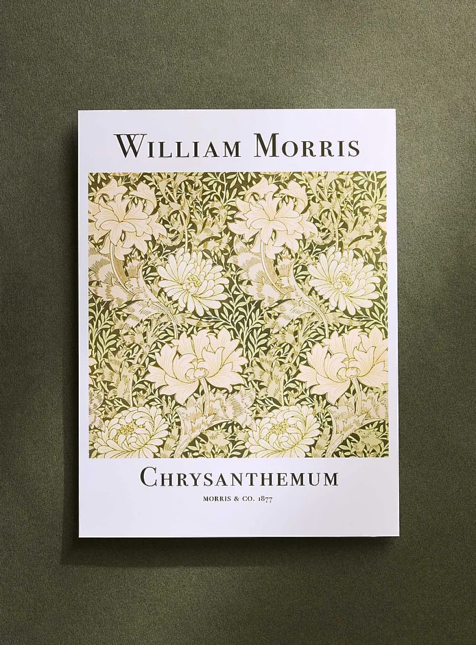 Chrysanthemum poster