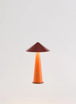 Colourful portable LED lamp