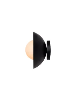 Danoise interior and exterior matte black light fixture