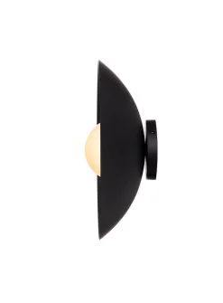 Danoise interior and exterior matte black light fixture