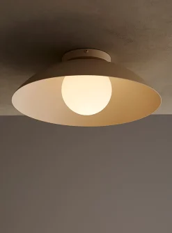 Danoise light fixture