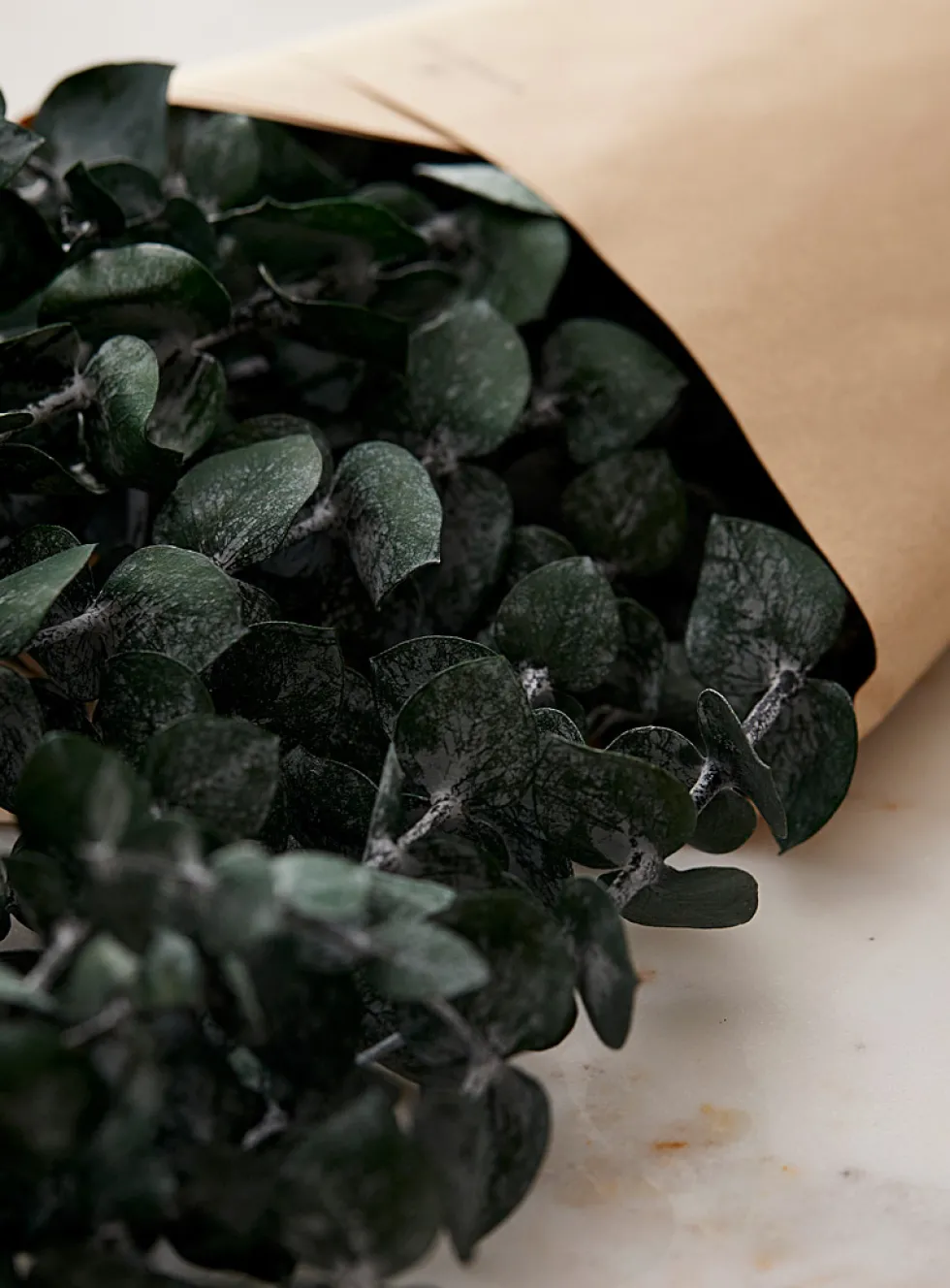Dried eucalyptus wreath