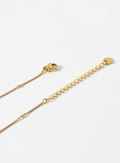 Fish skeleton chain