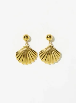 Golden shell earrings