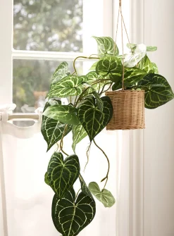 Hanging artificial pothos climbing plant