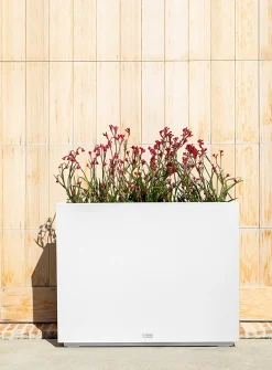 Large rectangular planter