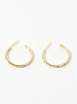 Large shimmery star hoops