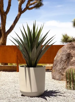 Minimalist planter