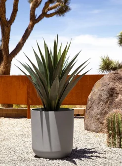 Minimalist planter