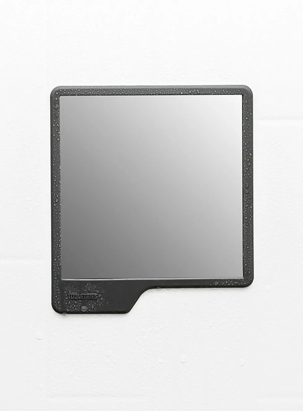 Oliver shower mirror
