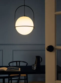 Paola matte black globe light fixture