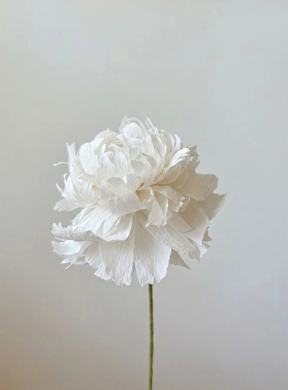 Paper peony stem