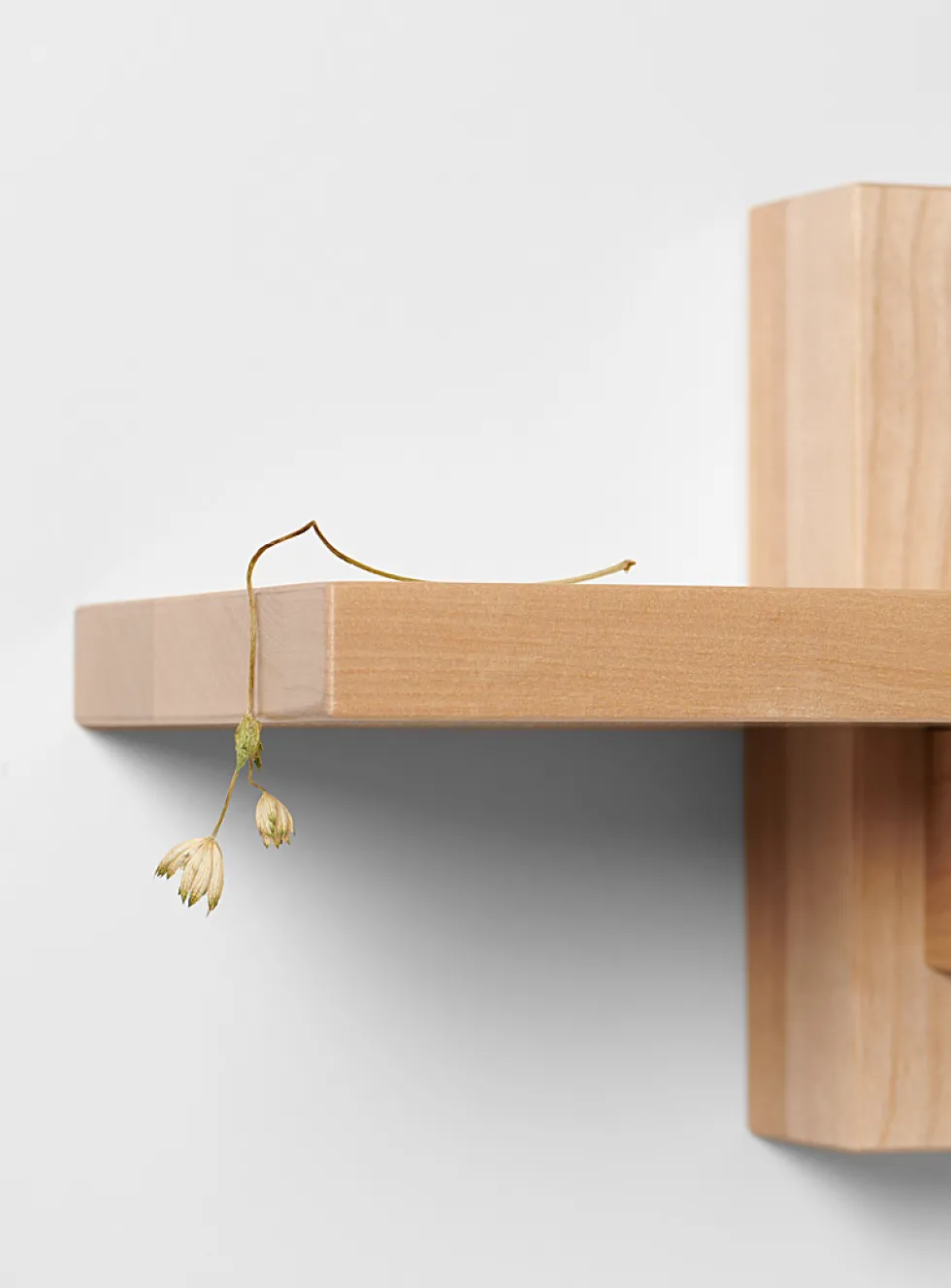 Piloti double shelf
