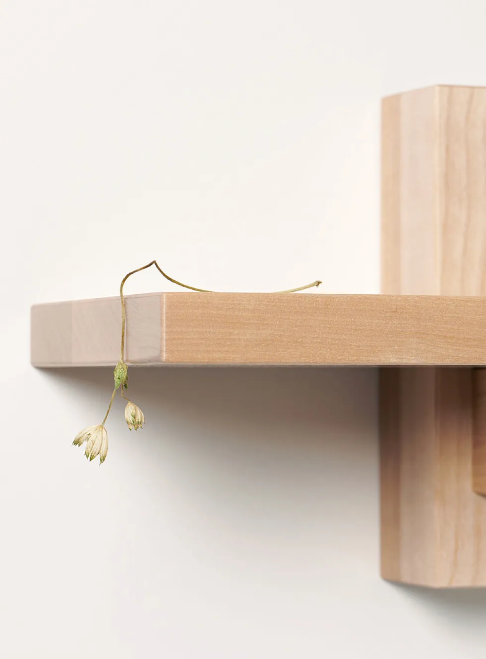 Piloti single shelf