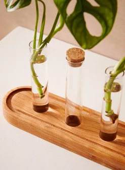 Plant propagation station