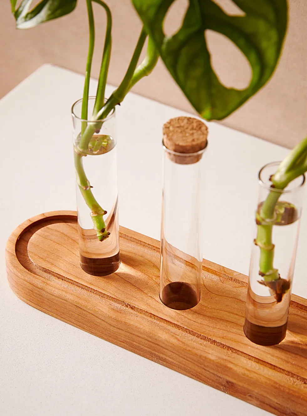 Plant propagation station