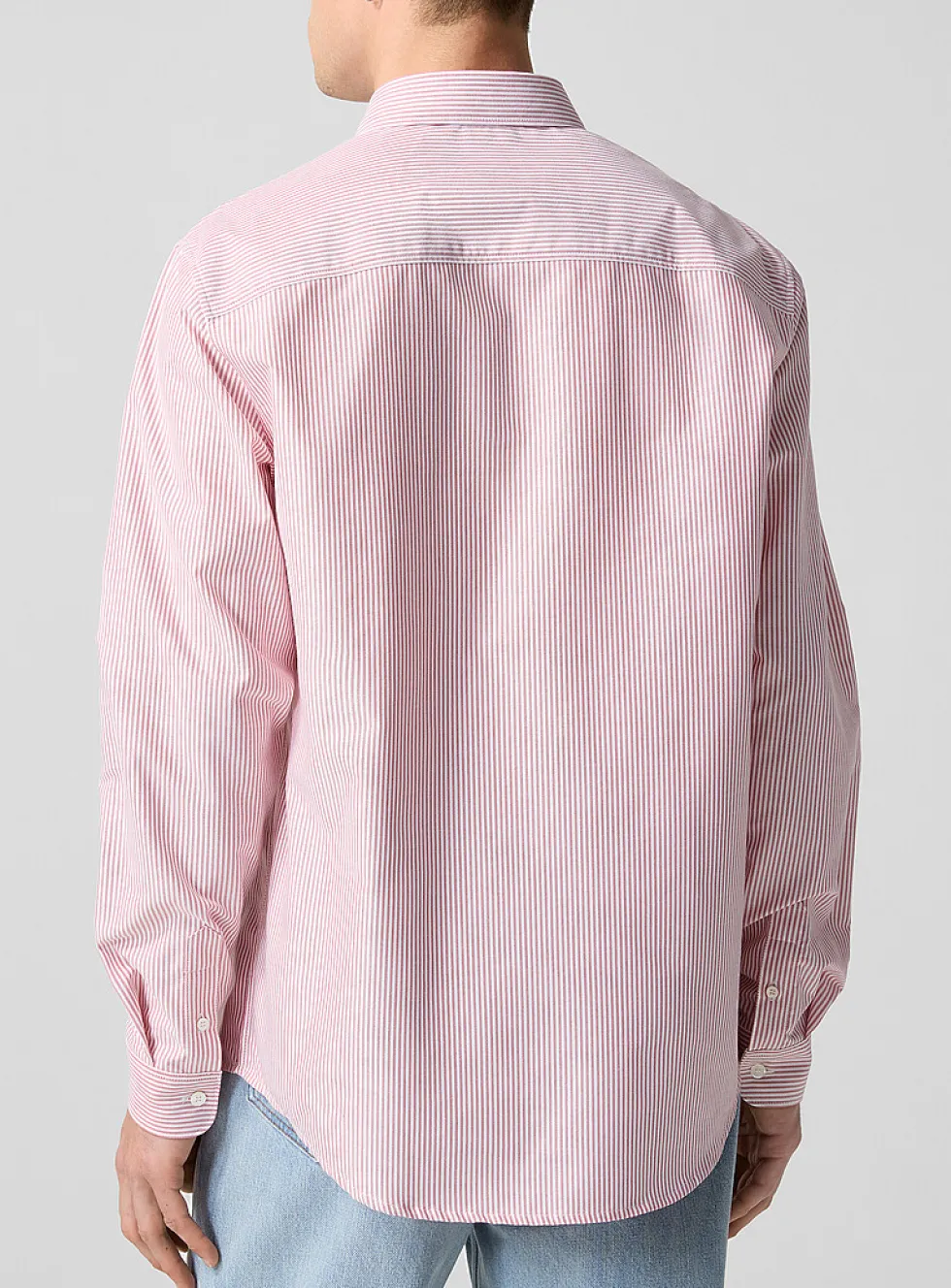 Red stripes Oxford shirt